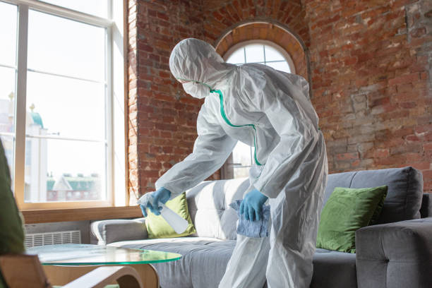 Why You Should Choose Our Mold Remediation Services in Westhampton Beach, NY