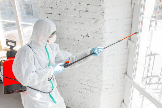 Professional Mold Removal in Westhampton Beach, NY